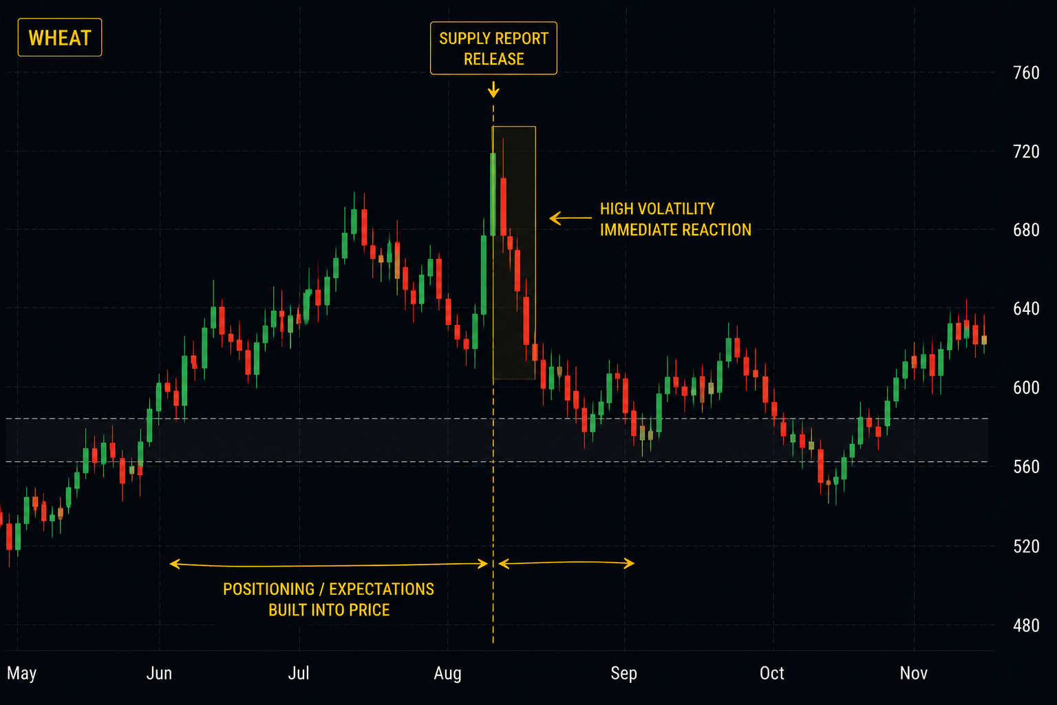 What to Watch Before the Next Major Grain Supply Report